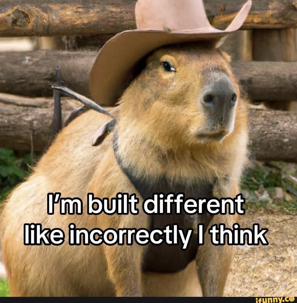 Bryden Wood at 25